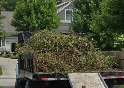 Local Tree Service (1)