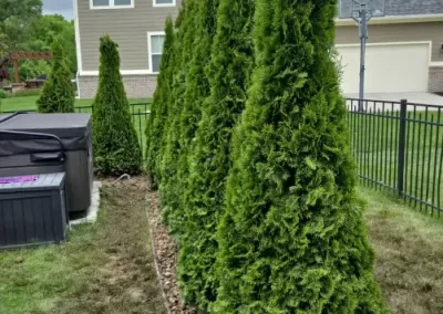 Local Tree Service (13)