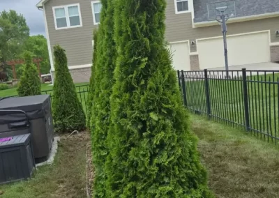 Local Tree Service (15)
