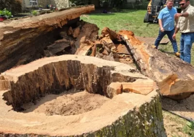 Local Tree Service (5)