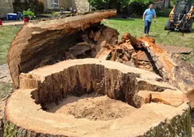 Local Tree Service (8)