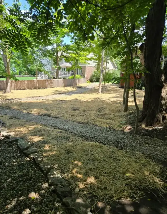 Reliable Tree Expert Reliable Tree Expert