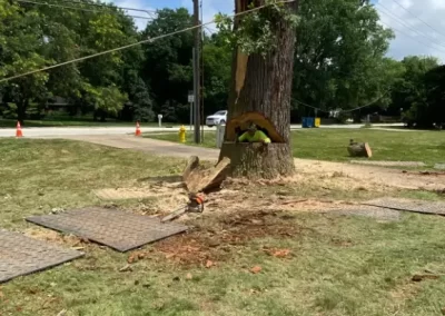 Tree Specialists