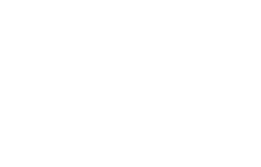 logo bg